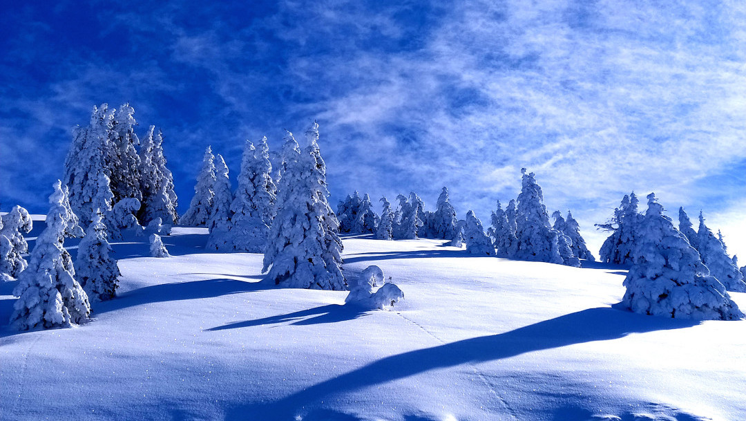 belledonne 1