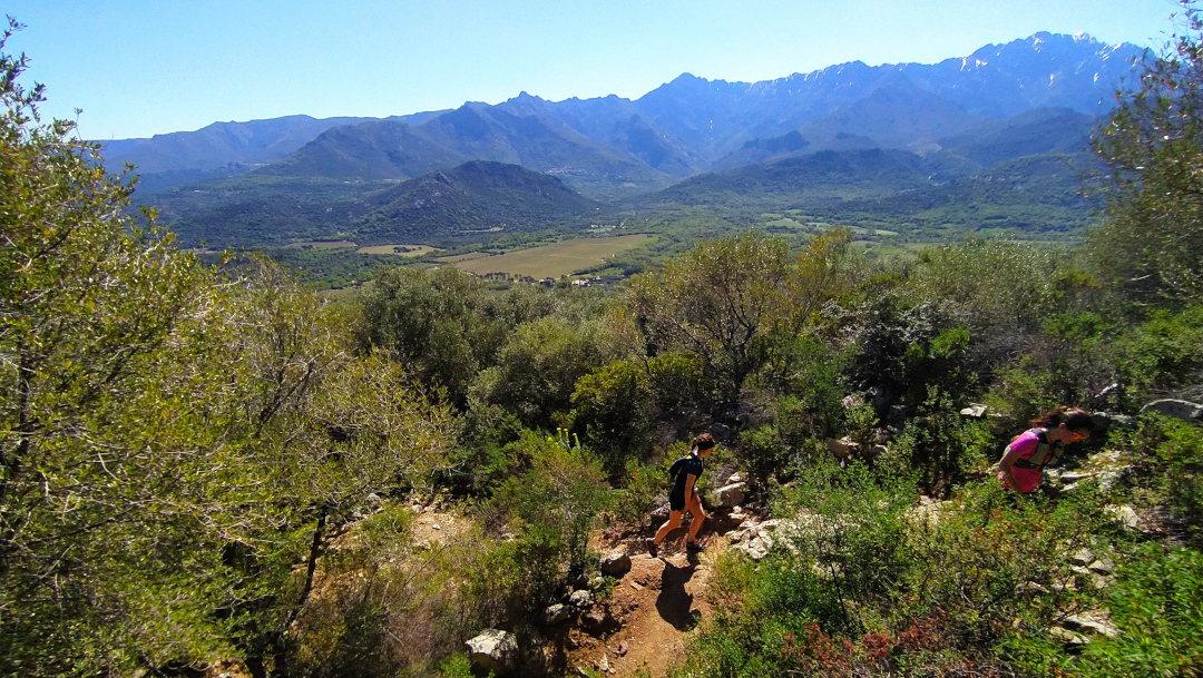 trail en corse 1