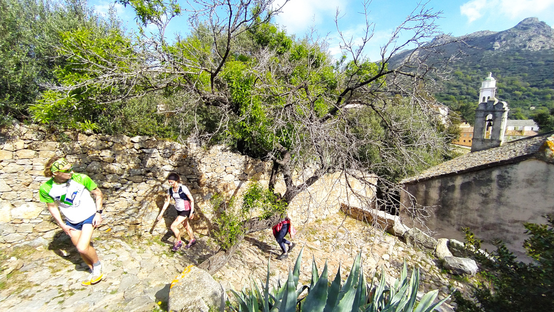 trail en corse 6