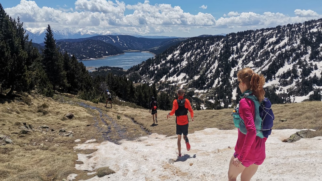 font romeu 1