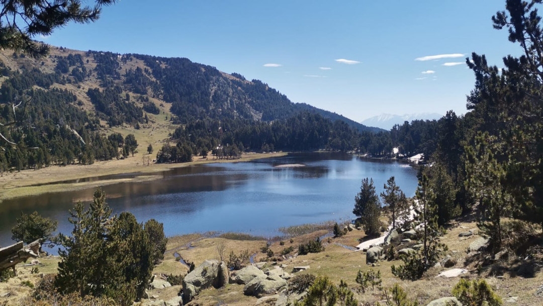 font romeu 3