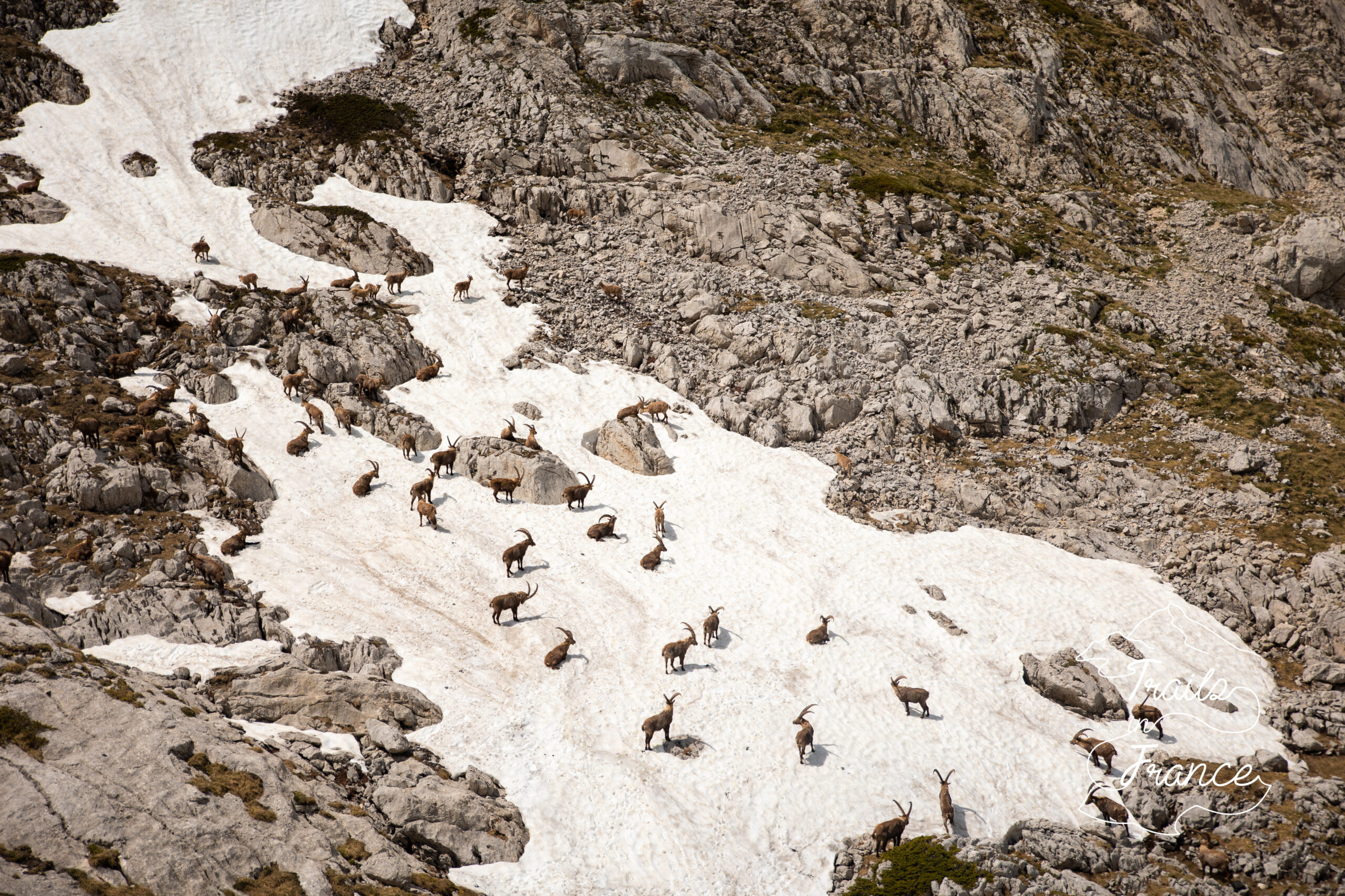 Vercors mai 22 (25)