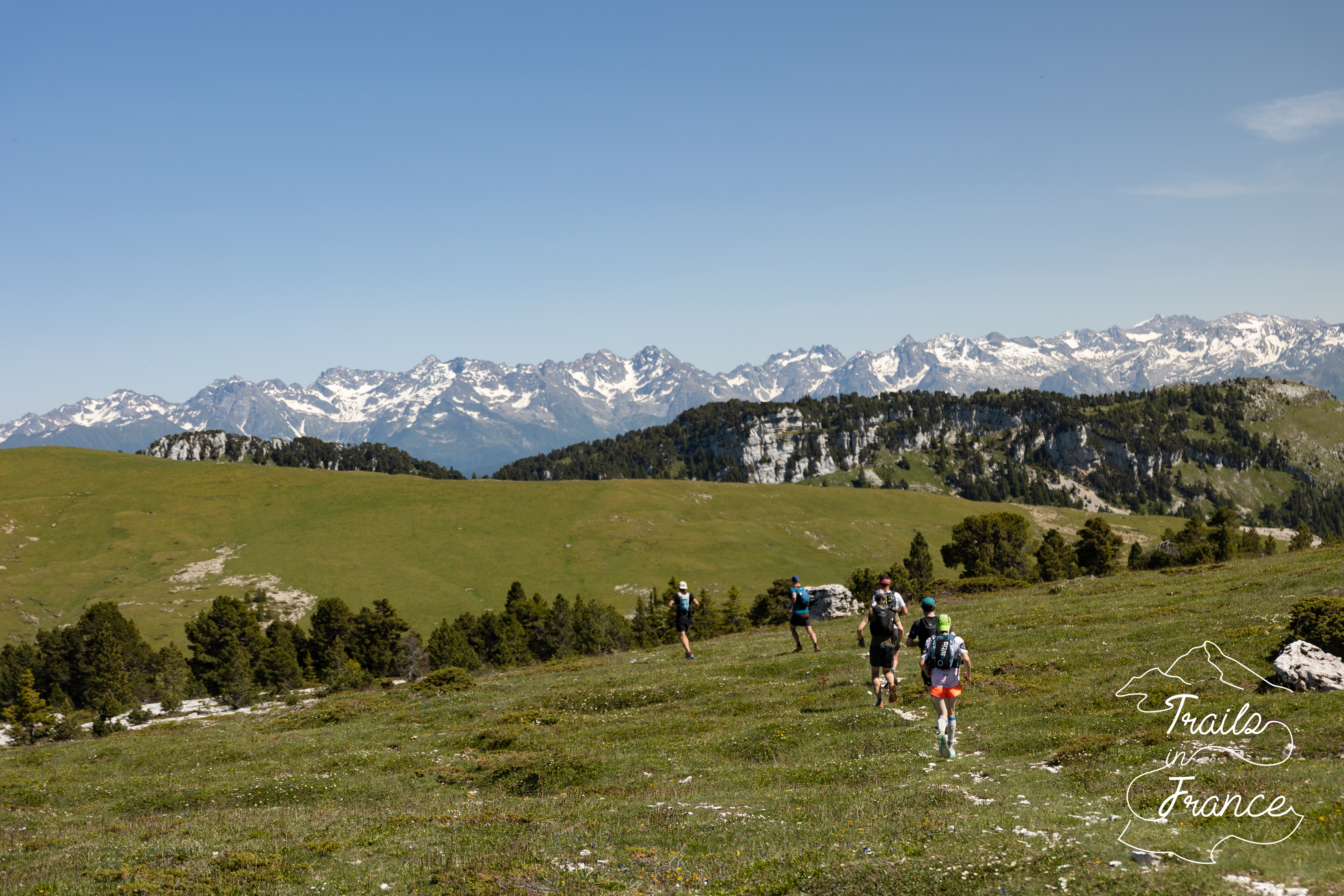 Chartreuse bivouac juin 2022 20 Trail dans les paturages de chartreuse