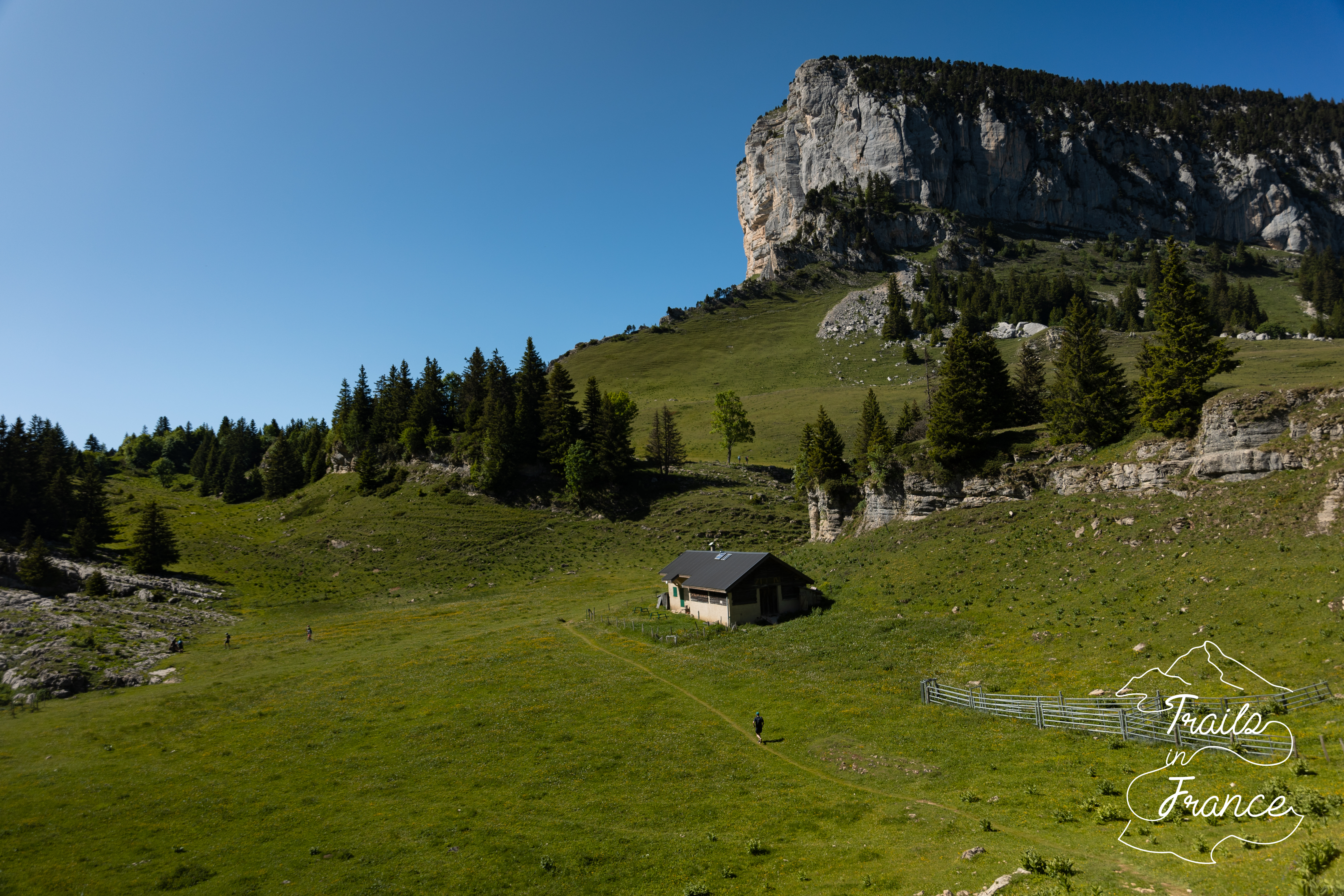 Chartreuse bivouac juin 2022 21 Trail dans les paturages de chartreuse