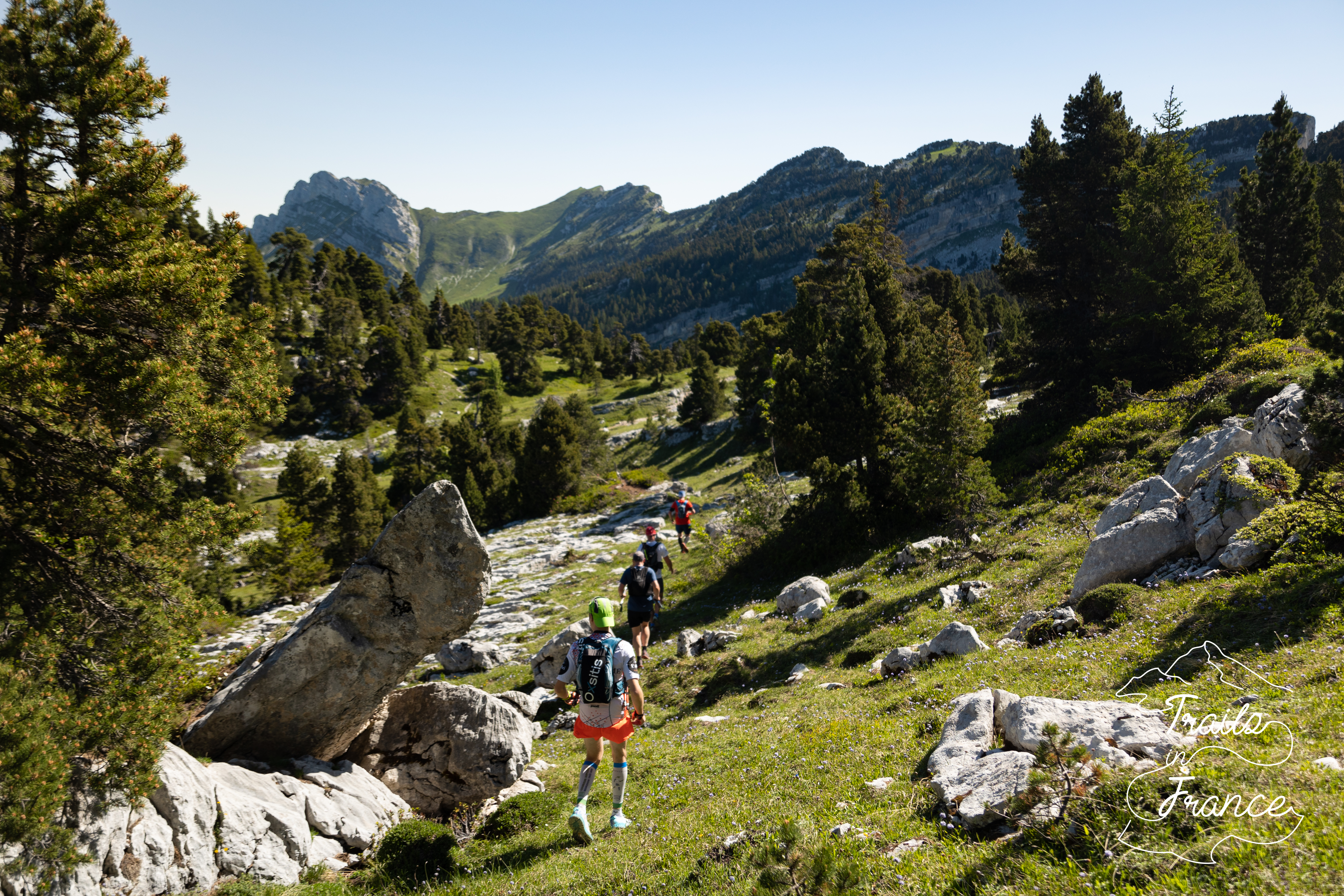 Chartreuse bivouac juin 2022 8 paysage foret chartreuse avec trail