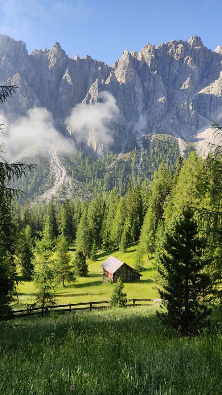 Dolomites 2022 (9) Forêt des dolomites