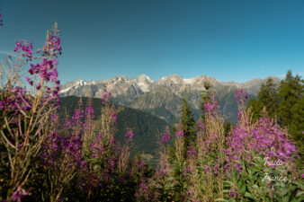 Chamonix Zermatt 2022