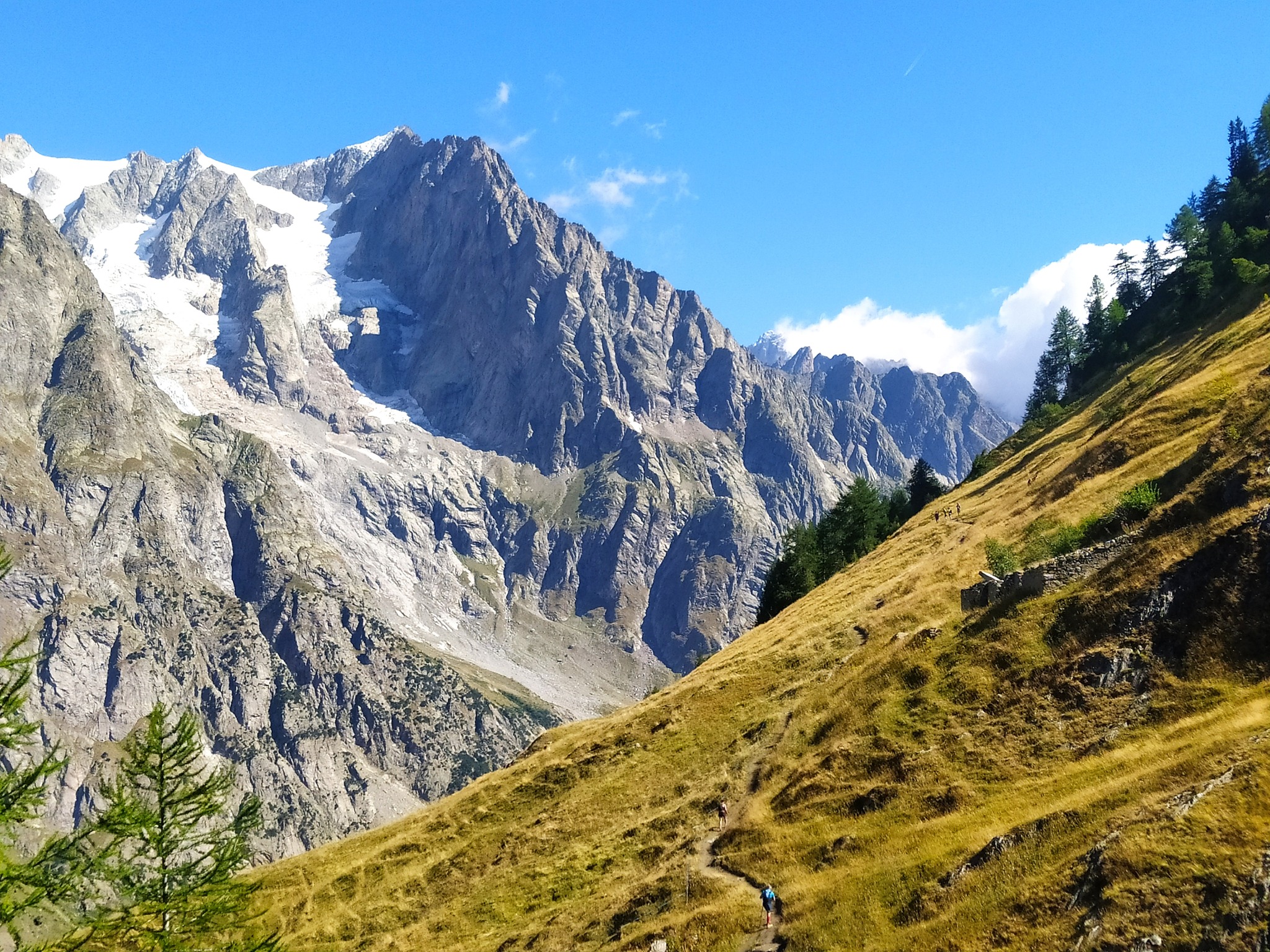 TMB Chamonix juillet 2022