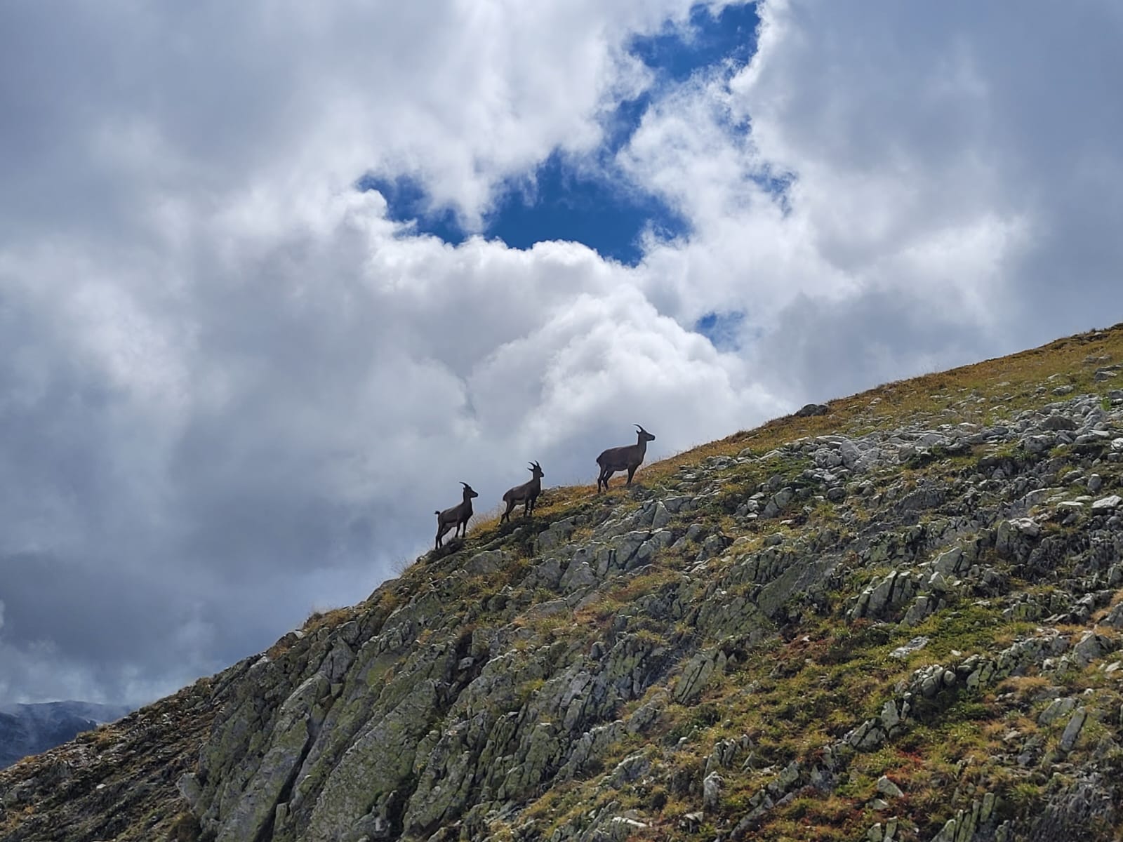 Vanoise Aout 2022