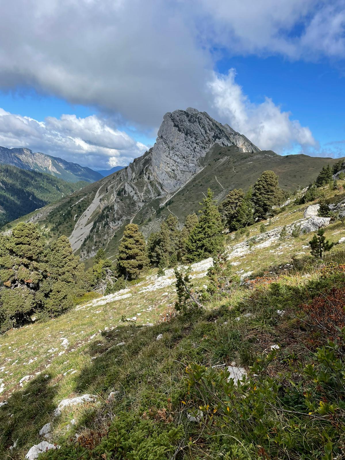 Chartreuse septembre 2022 7
