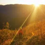 Jura septembre 2022