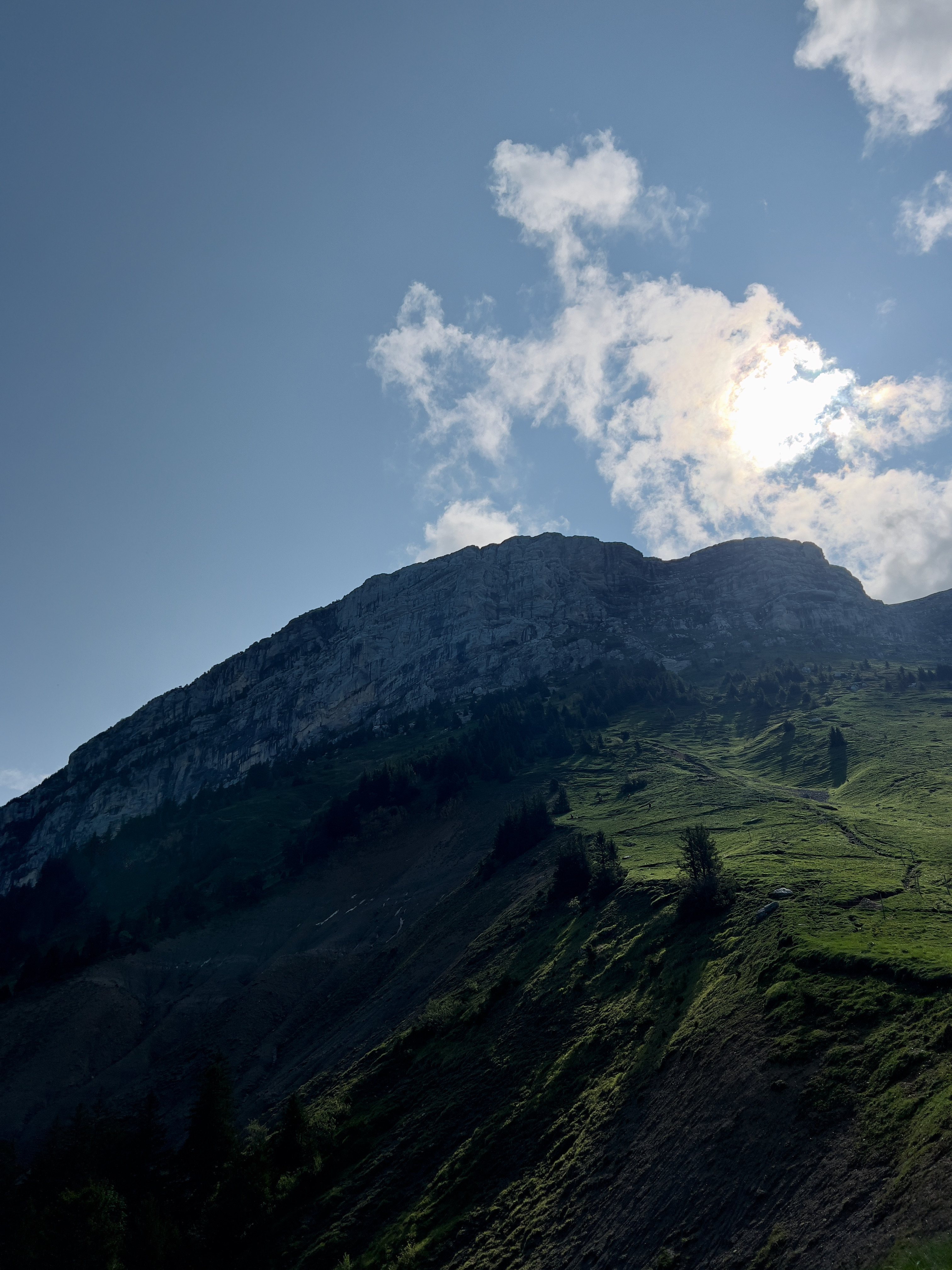 Séjour trail & nutrition en chartreuse Stage trail & nutrition en chartreuse Trail in france