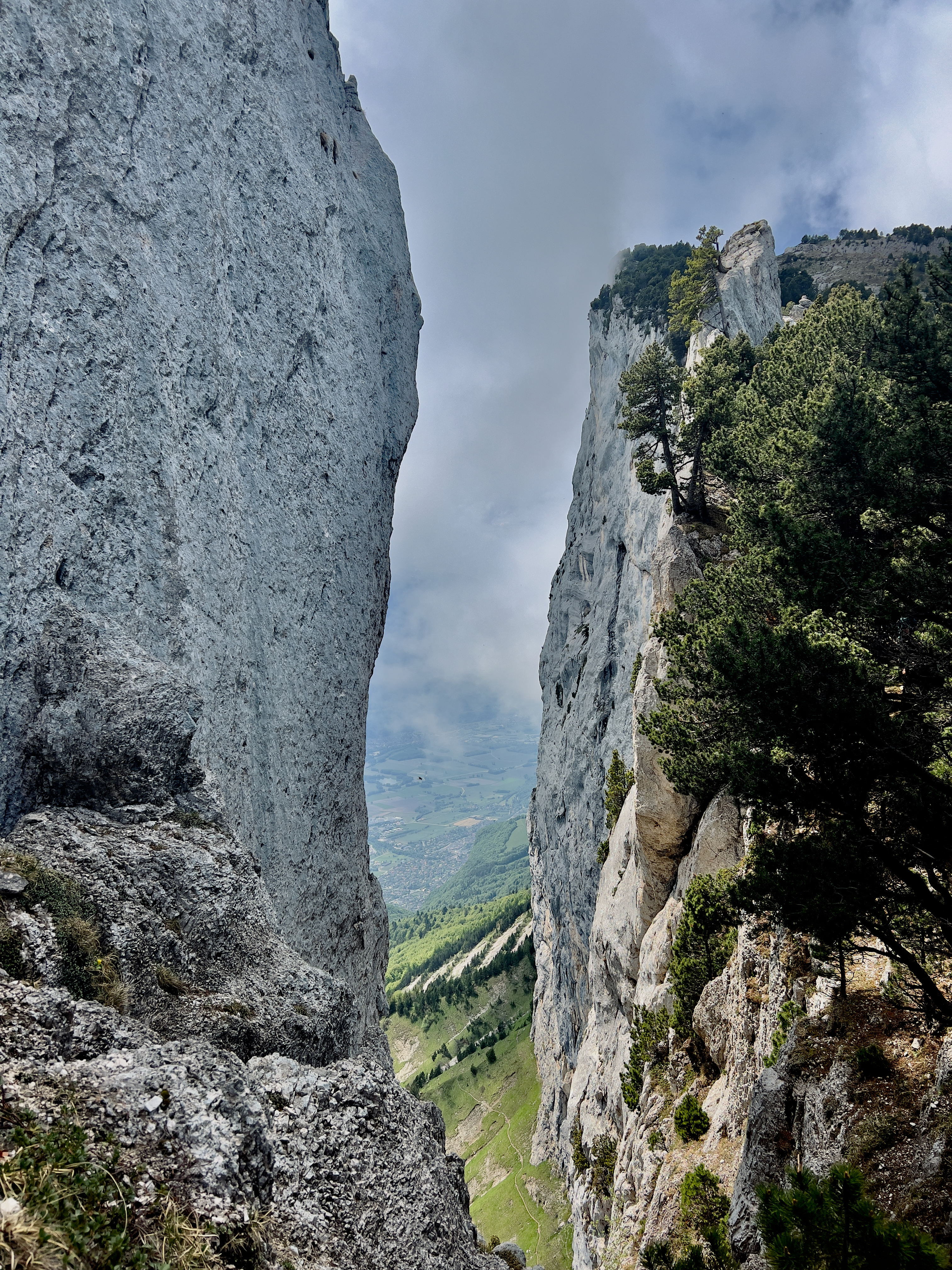 Stage trail & nutrition en chartreuse Stage trail en Chartreuse par trail in france